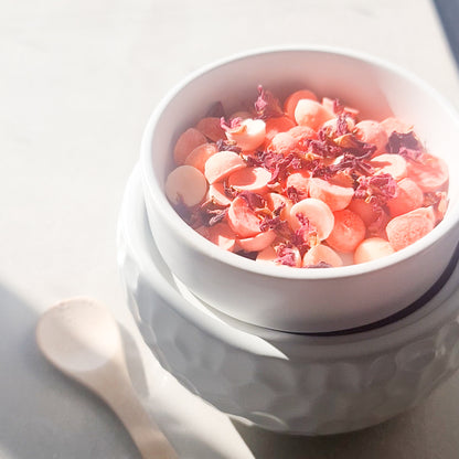 Wax Melts/ 2-in-1 Premium Warmer